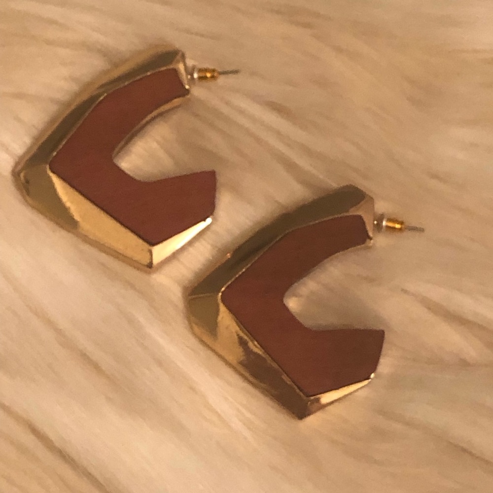 Zara Statement Earrings